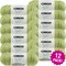 Multipack of 12 - Caron Simply Soft Collection Yarn-Pistachio